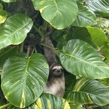 Eddie in Costa Rica