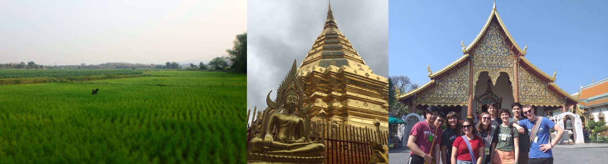 Photos from past students in the Mahidol University program.