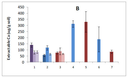 bar graph of soil results showing potential net N mineralization in 21 d lab