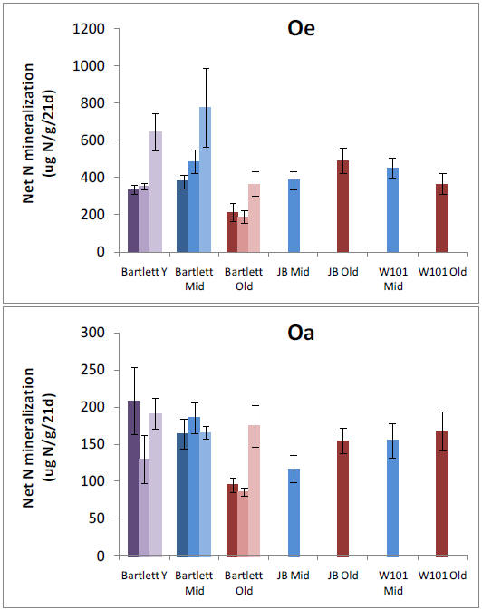 plots showing phosphatase activity versus potential net N mineralization in the O e horizon of forest stands at Bartlett