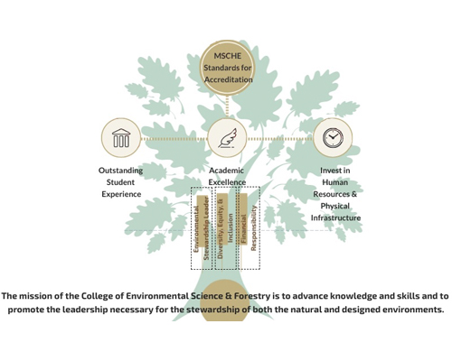 MSCHE standards for accreditation outstanding student experience academic excellence invest in human resources and physical infrastructure environmental stewardship leader diversity, equity and inclusion financial responsibility. The mission of the college of environmental science and forestry is to advance knowledge and skills and to promote the leadership necessary for the stewardship of both the natural and designed environments.