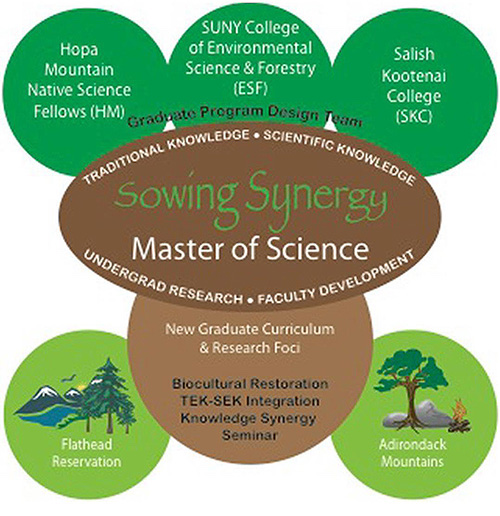 sowing synersy master of science