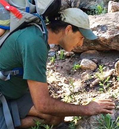 Kaya DeerInWater looking at a plant