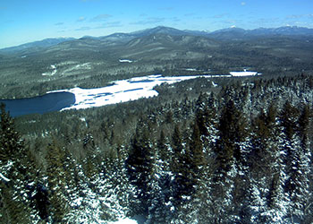 view from the Goodnow Mountain Fire Tower