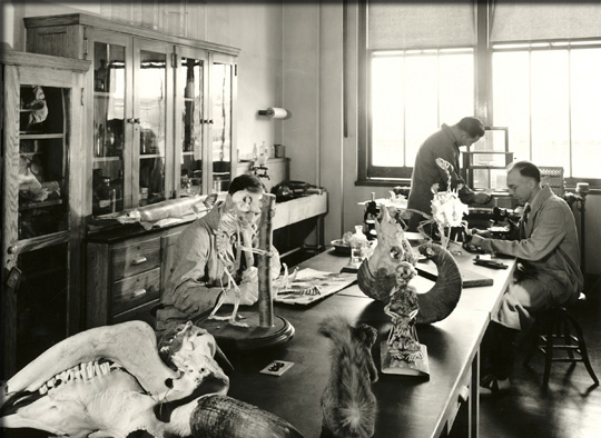 Scientists working in Roosevelt Wildlife Station