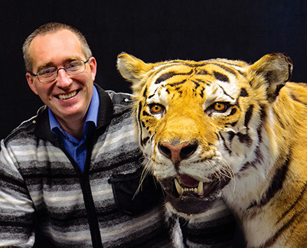 MIKHAIL PALTSYN POSES WITH TAXIDERMIED AMUR TIGER SPECIMEN. PHOTO: WENDY O. OSBORNE, ESF