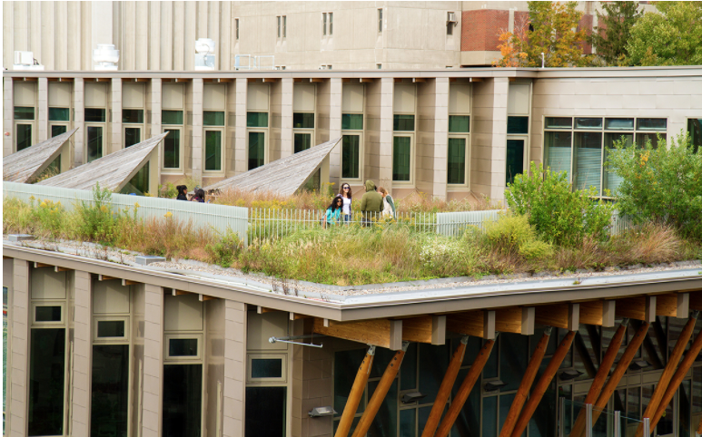 Students on Gateway roof