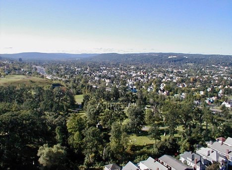 Aerial photo of trees and an urban skyline.