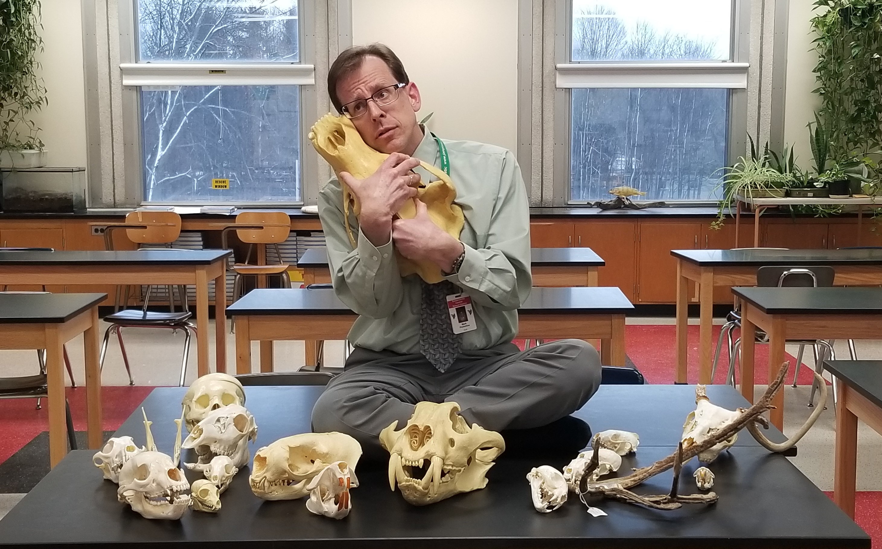 Mark Penfollow posing for his yearbook. He is sitting on a table holding different animal skulls.