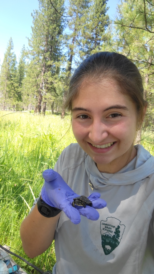 Woman holding a small turtle in the middle of a grassland and forest.