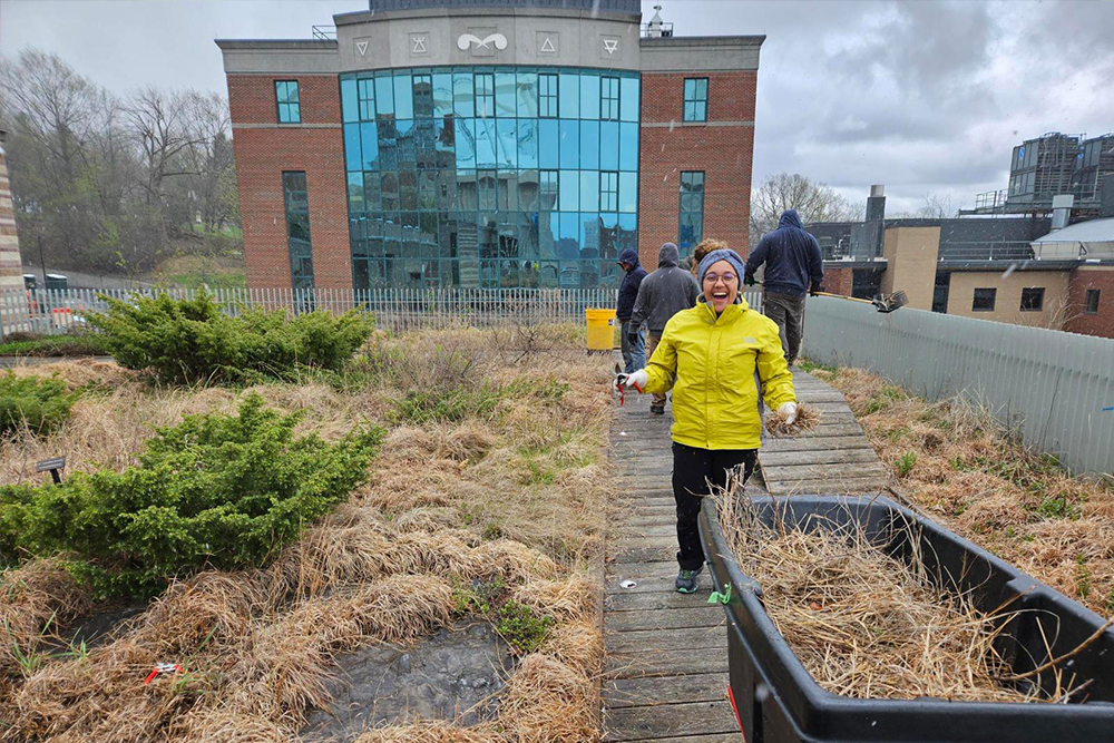 Woman in bright yellow jacket standing on green roof near wheelbarrow.