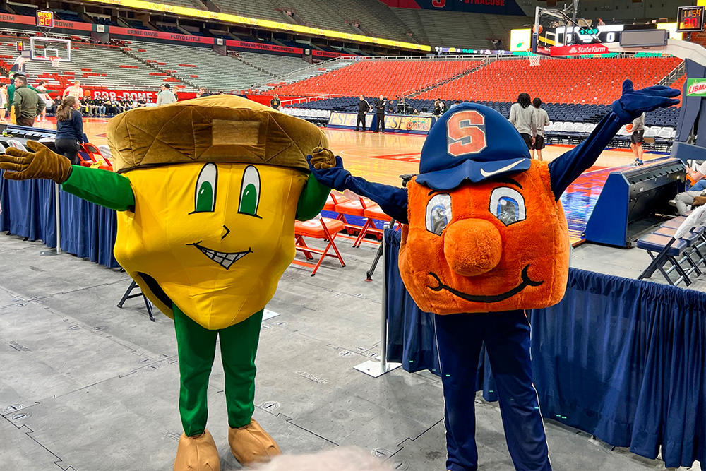 Mascots, on left, large yellow acorn., On right, large orange wearing blue baseball hat.