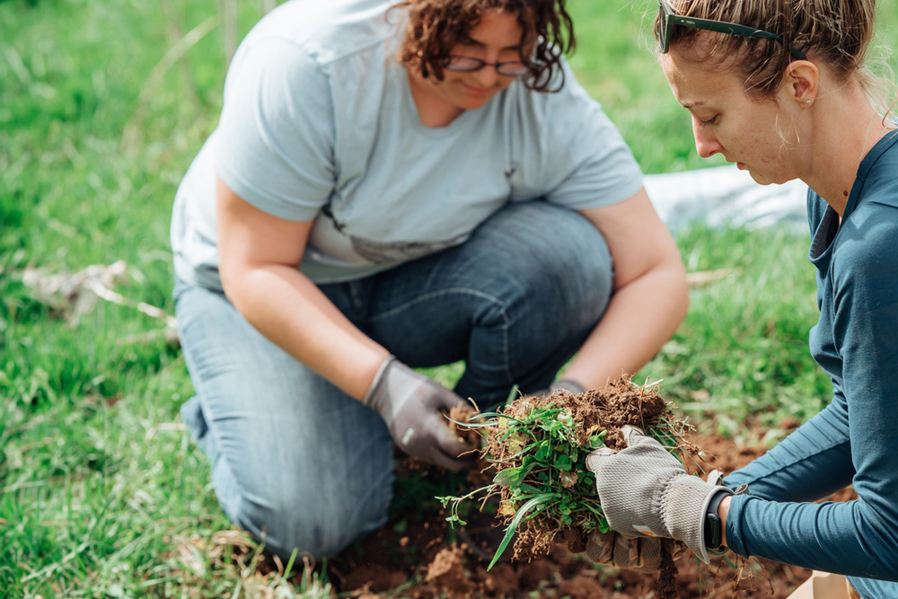 Two women kneeling in grass examining soil and plants.