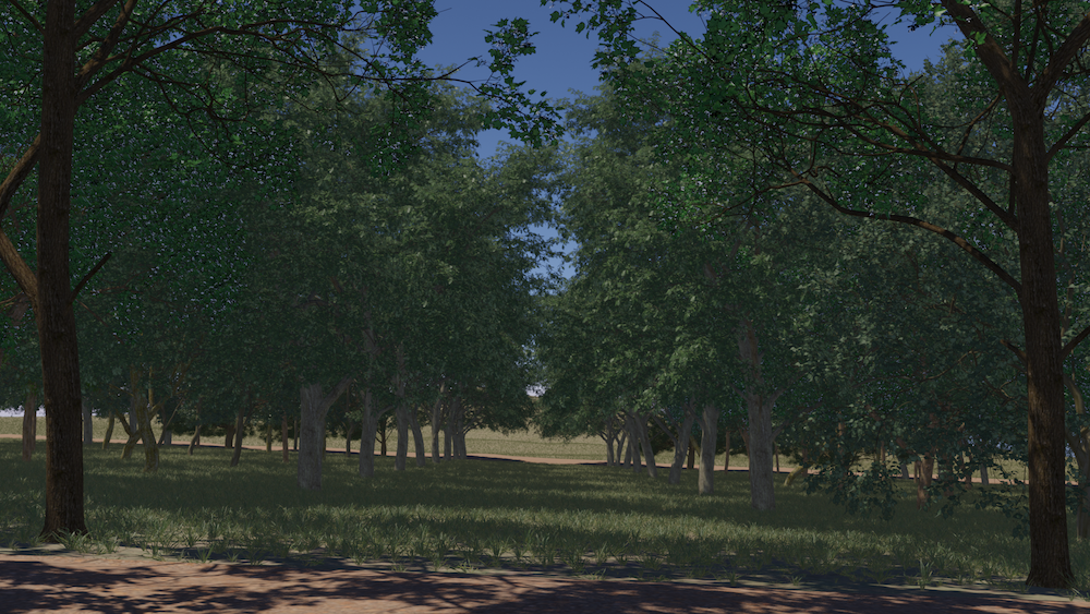 VR generated grove of trees.