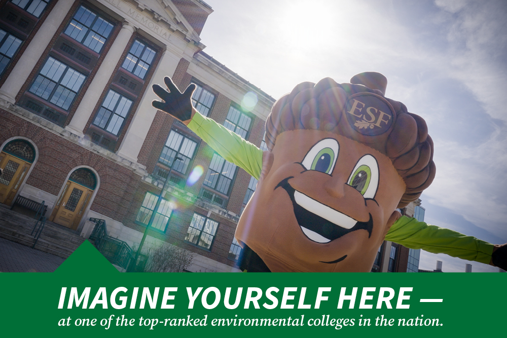 Oakie the acorn mascot in front of Marshall Hall with sun flare
