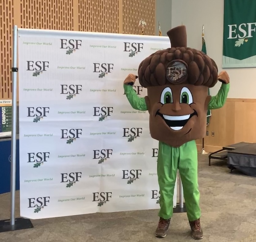 Acorn-shaped mascot wearing green sleeves and pants standing in front of a white backdrop with the ESF logo.