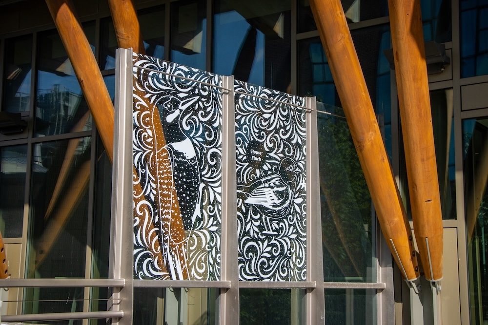 Decorative bird-safe window panels featuring stylized illustrations of birds and swirling patterns are mounted in front of a glass building facade supported by large timber beams. The artwork includes a heron-like bird and a labeled house finch, creating a visual barrier designed to make the glass more visible to migrating birds.