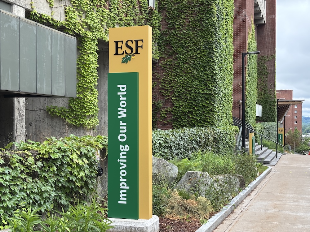 A tall yellow and green sign with the letters “ESF” and the phrase “Improving Our World” stands beside a landscaped walkway next to a building covered in green ivy. The scene shows a sidewalk, steps, and surrounding greenery leading past brick buildings.
