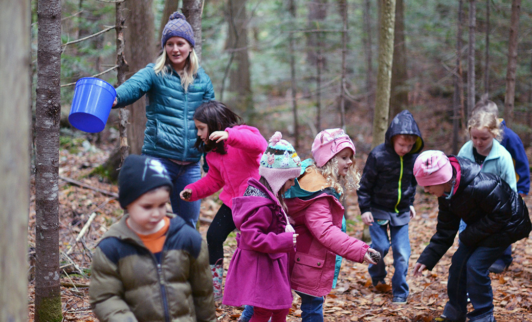 children in the woods 