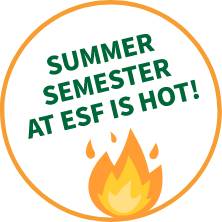 Summer Semester at ESF is Hot!