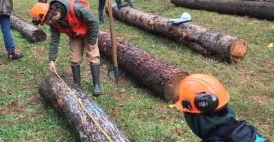 Students in hard hats work in a logging demonstration.