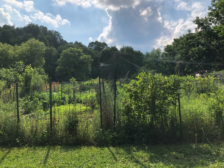 Morningside Community Garden