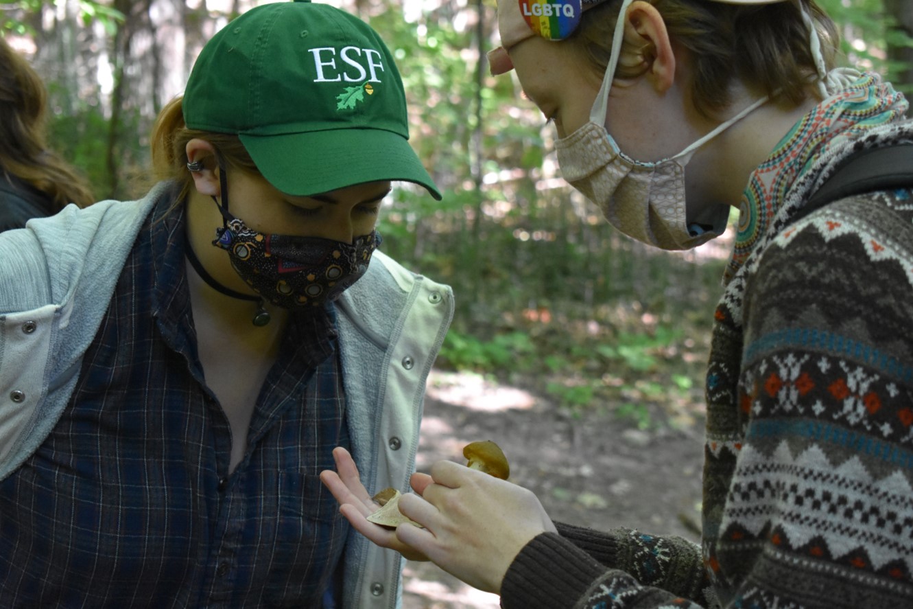 ESF graduate students participating in a Bioblitz, to assess biodiversity at a site in Central New York.