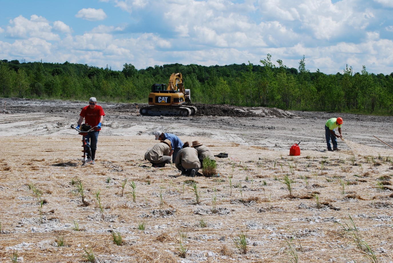 Students assisting with salt marsh restoration on industrial waste beds.