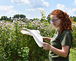 Ellise Calahan in a meadow holding a net