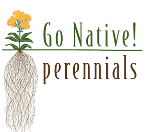 go native perennials