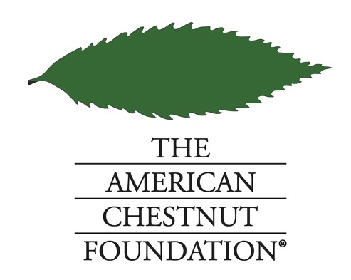 the american chestnut foundation