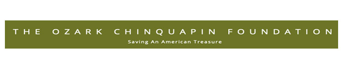 The Ozark Chinquapin Foundation