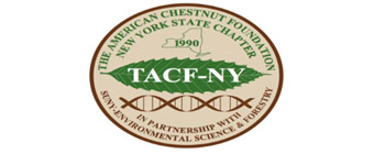 the American Chestnut Foundation New York State Chapter