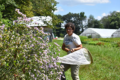 Molly Jacobson, polinator at E S F, standing next to flowers holding a net