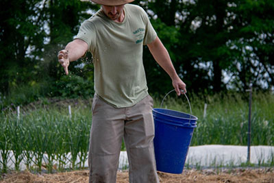 Sam Quinn hand seeding a meadow