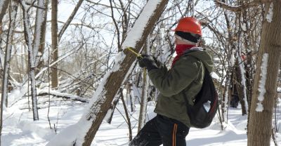 Student working in a wintry forest.