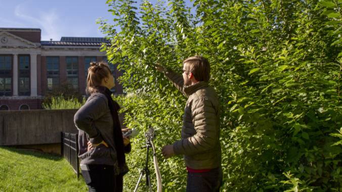 Students surveying willow biomass test plots