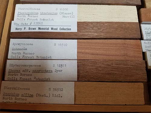 Hardwood samples with labels