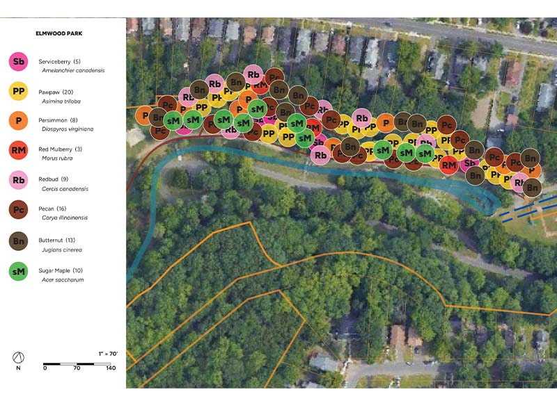 Satellite image of Elmwood Park food forest showing different plants