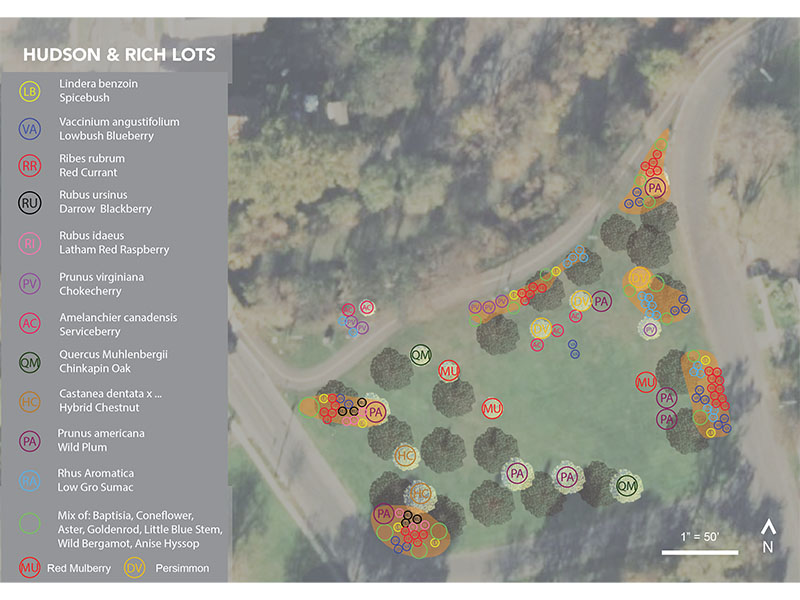 Satellite map showing Hudson and Rich lots showing different types of plants