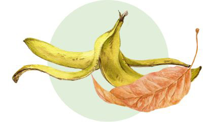 decorative image