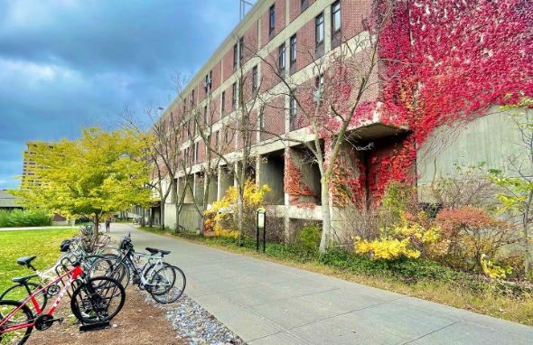 Bicycles parked infront of Illick hall