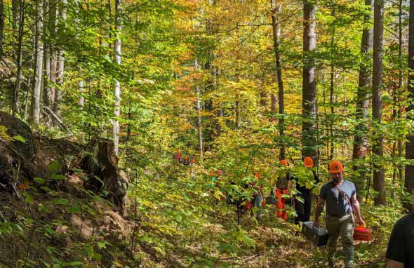 Peopl;e in orange hats and with toolboxes walking through the forest