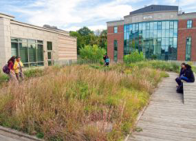 Green Roof