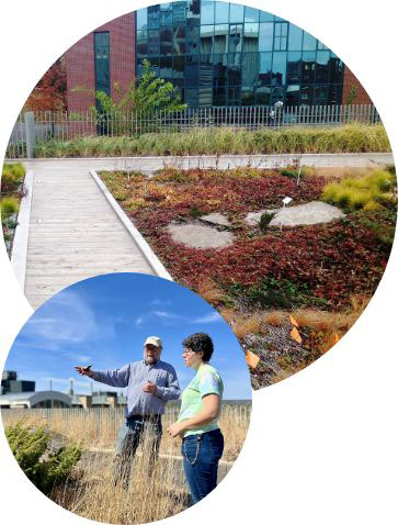 Two people at Gateway Center Green roof
