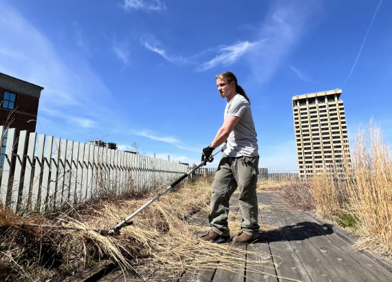 a person weeding green roof