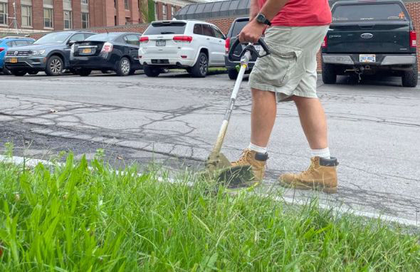 Mike trimming ESF grounds using an electric trimmer