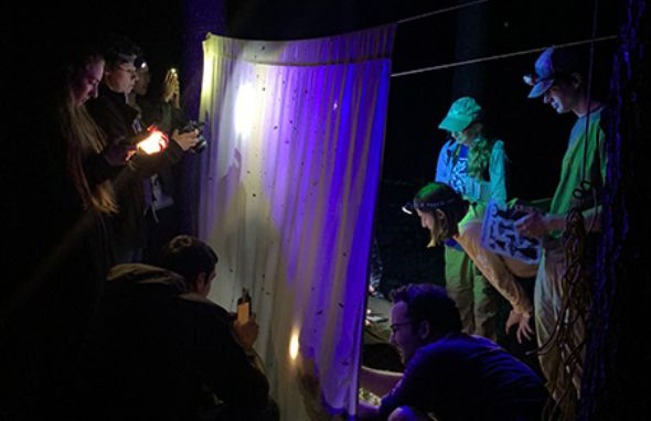 moth blacklight 