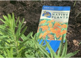 native plants brochure outdoors