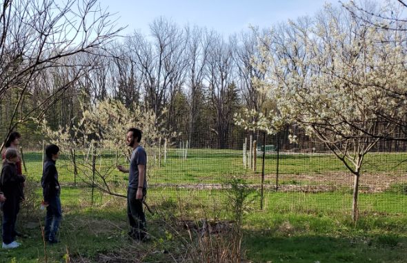students in the orchard
